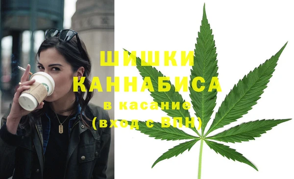 ГАЛЛЮЦИНОГЕННЫЕ ГРИБЫ Абдулино
