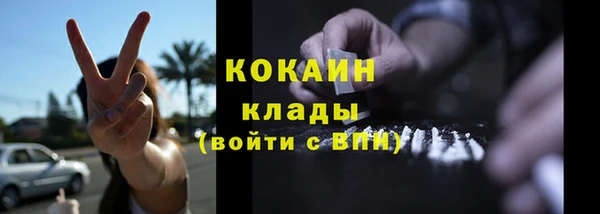 шишки Абинск