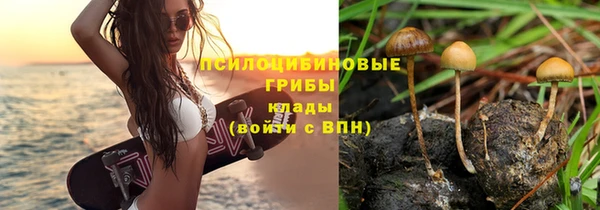 ГАЛЛЮЦИНОГЕННЫЕ ГРИБЫ Абдулино