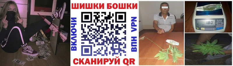 Шишки марихуана гибрид мориарти телеграм Королёв